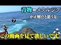 青物狙い、ジグだけじゃもったいない。釣果を増やす“一手”に是非試して欲しい釣り方
