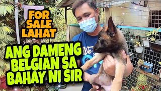 BAGONG TUKLAS NA KENNEL SA SAN JOSE DEL MONTE BULACAN