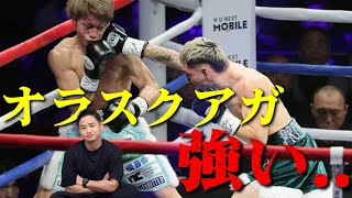 ボクシング shirakaba Sho Chiku Bai Shirakabegura MIO CRISP Sparkling Sake – Takara Sake