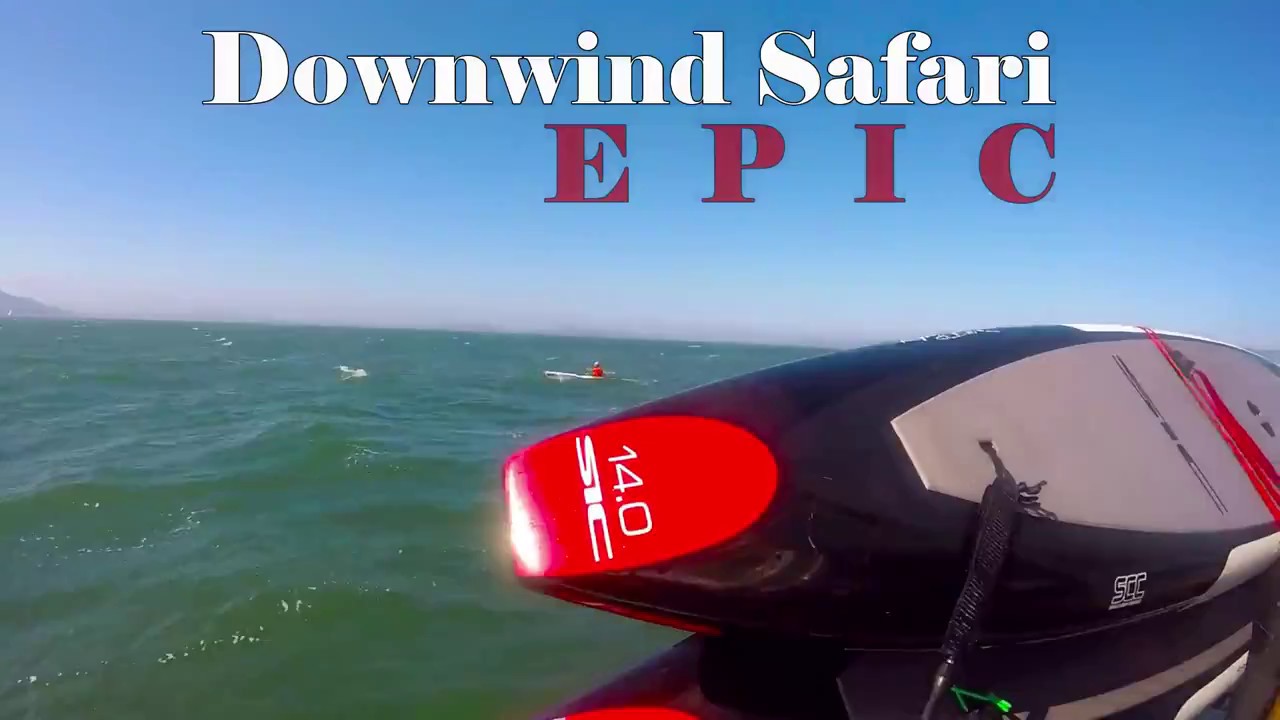 8 26 17 Downwind Safari EPIC