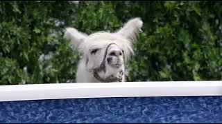 Geico Commercial  Marco Polo 2017