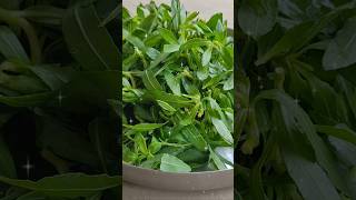 Traditional Sonche Saag Recipe | Village Style Green Leaf Curry | Authentic #rural #cooking #asmr