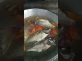 sinigang na tilapia