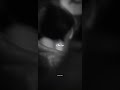 عالم چت ی کام نی جنگل Rap رپفارسی عالم هیچکس یاس پوریاپوتک حصین پیشرو مرام عالم چت ی کام نی جنگل Rap رپفارسی عالم هیچکس یاس پوریاپوتک حصین پیشرو مرام