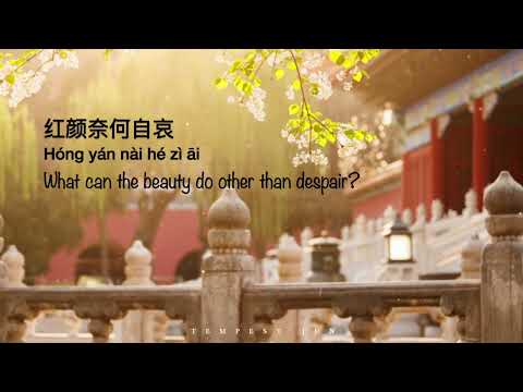 为你而来 Wei Ni Er Lai - Chinese, Pinyin & English Translation 歌词英文翻译