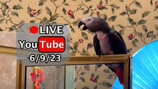 Einstein Parrot FB Live Replay 6/9/23