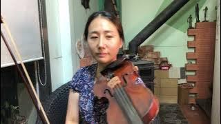 Thank you -Dido violin cover