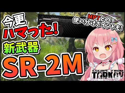 【EFT】このSMGちゃんと強い！新武器SR-2Mでショアタスク攻略！  #42【ゆっくり実況】