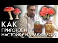 КАК ПРИГОТОВИТЬ НАСТОЙКУ НА МУХОМОРЕ