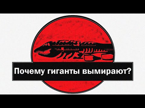 Видео: Где умирают гигантские самолеты?