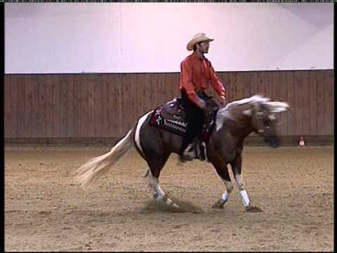 Futurity Toscano 2010 cat. int open secondo classificato Jac Little Painted