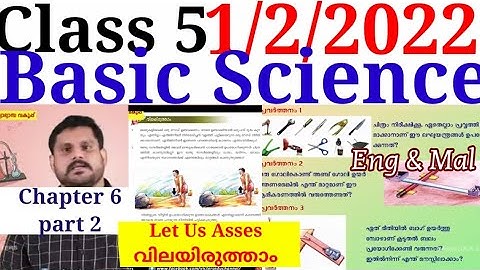 Class 5 Basic Science Worksheet 1/2/22|Class 5 Basic Science chapter 6 part 2 Activities@educutz131