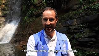 Crown Prince Haakon In Colombias Rainforest