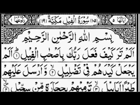 Surah Al Fil (al feel, fil, alam tara kaifa Quran | 11 Times repeated