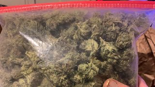 Blunt session with the homie chill