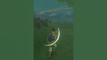 Have You Seen THIS In BOTW? #Zelda #shorts