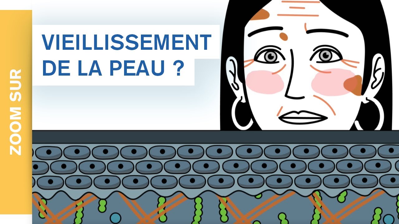 Zoom Sur : le vieillissement de la peau et l’apparition des rides | Uriage