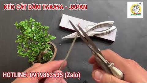 KÉO CẮT TỈA DĂM, CHỒI, LÁ TAKAYA - JAPAN