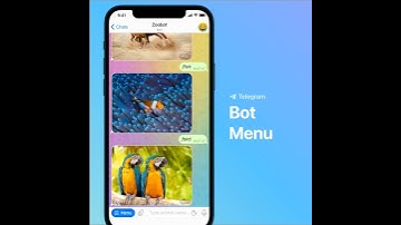 Telegram Bot tutorial #short