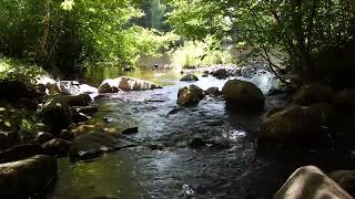 Relaxing Nature Sounds for Sleeping - Natural Calm Forest Waterfall Music Meditation Sound