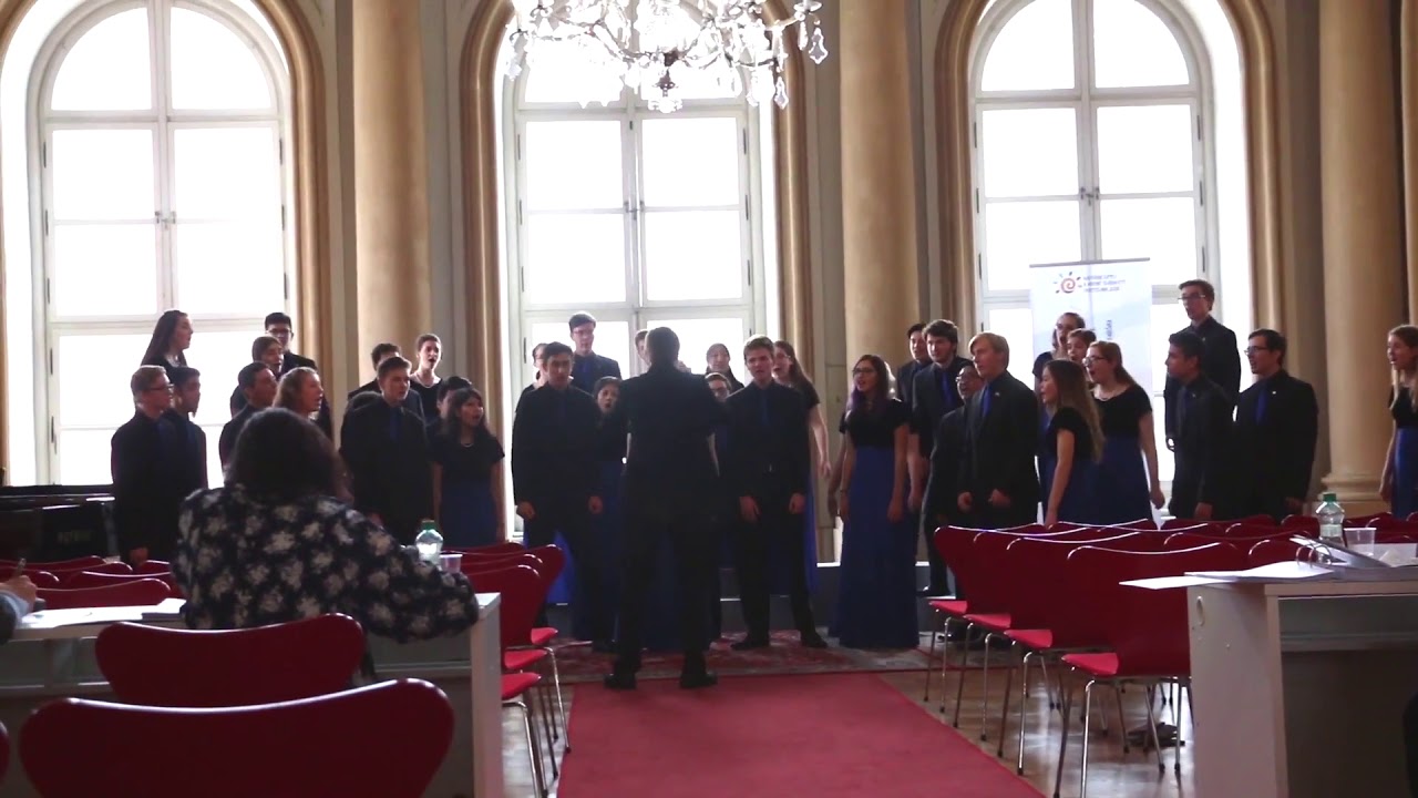 Autotecnica Horn - La Cucaracha - Musical Air Horn 12v - 5 X Horns INC - Foto 6