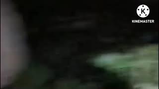 Download lagu LAGU MAUMERE SILIK-WALONG BABO TERBARU/2022