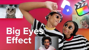 Eye-popping videos with the Big Eyes Effect — Fancy Tools Collection — MotionVFX