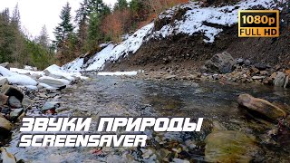 Живая природа - Река | Звуки природы | Звуки реки | Шум воды | Белый шум | Антистресс | Заставка TV