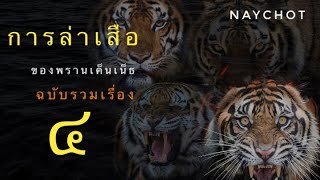 รวมเรื่อง การล่าเสือของพรานเค็นเน็ธ แอนเดอร์สัน ตอนที่ ๔ The Call of the Man Eater ปี พ.ศ.๒๕๐๔