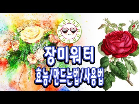 로즈워터 효능 로즈워터 사용법 로즈워터 만들기 로즈워터 미스트 만들기