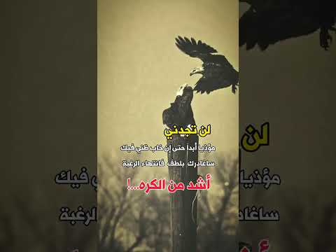 لن تجدني مؤذيا ابدا حتي وان خاب الظن فيك