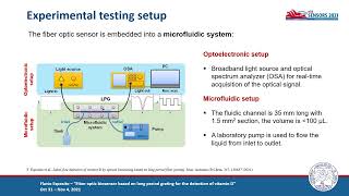 Fiber Optic Biosensor Based on Long Period Grating for the Detection of Vitamin D