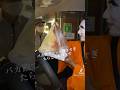 【美人】店員さんの対応がヤバすぎたw