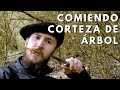 COMIENDO CORTEZA DE ÁRBOL | Comida de SUPERVIVENCIA y Emergencia l Cambium