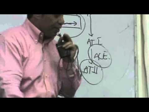video phone beyonce mp3 Dr.Ahmed Abdelrahman - Autacoids 2 - ِVaso active peptides - part 3