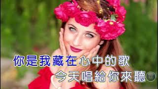 祁隆~又見山里紅~導唱字幕