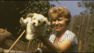 Famous Magic Mountain & Puppy Prince Net Worth