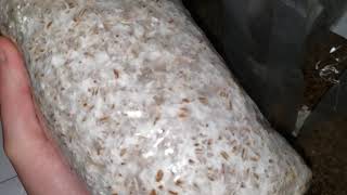 CVG bulk update (1 week update)