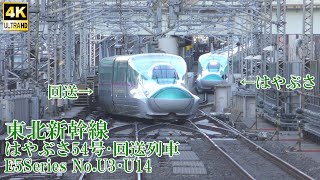 東北新幹線はやぶさ54号・回送列車 E5系U3・U14編成 240101 JR Tohoku Shinkansen Tokyo Sta.