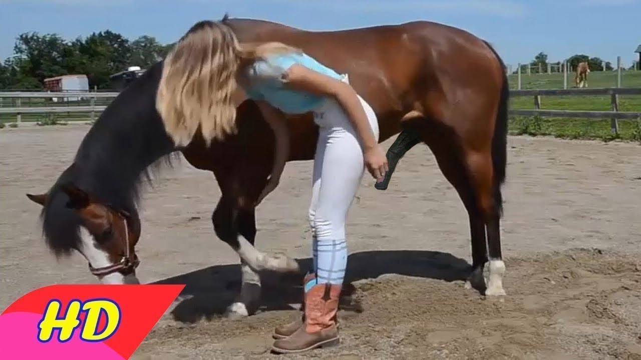 GIRL AND HORSE SHOW LIVE - Amazing Beautiful Girl Playing With Horse Smart ...