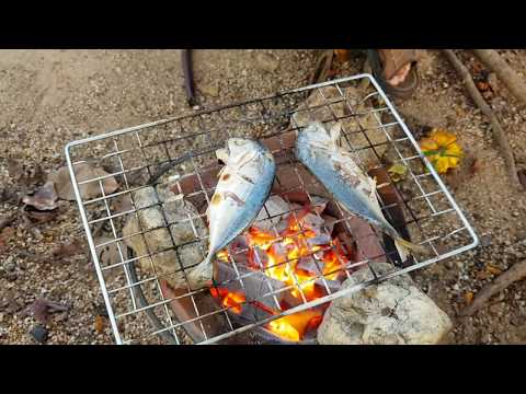 วีดีโอ: วิธีการย่างปลาทู