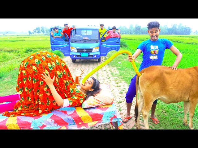 Very Special Trending Funny Comedy Video 2025 😂Amazing Funny Video 2025 Episode 198 Busy Fun Ltd