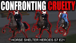 The Horses Can't Speak - So We Do I Horse Shelter Heroes - S7 E21