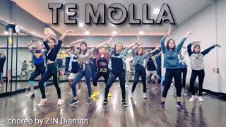 Download Lagu #senamzumba #zumbamudah #zumbatemolla Te molla Zumba | song TE MOLLA BY ARNON MP3