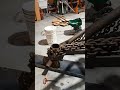 Time to retire? the old 8N grader blade broke!