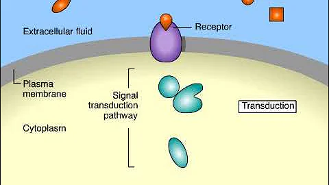 Cell Signaling Overview Animation