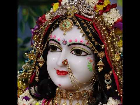 radhe radhe radhe bol 🌺🌺🌺🌺🌺🌺🙏🙏🙏🌼🌼🌼🌼🌼...#radharani #radheshyam #divya #shakti #mahakal #love #radhe