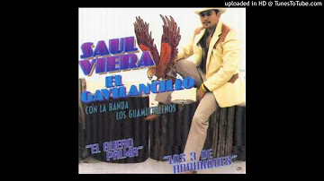 SAUL VIERA EL GAVILANCILLO - EL GUERO PALMA