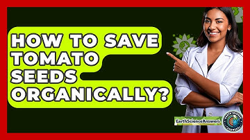 How To Save Tomato Seeds Organically? - Earth Science Answers