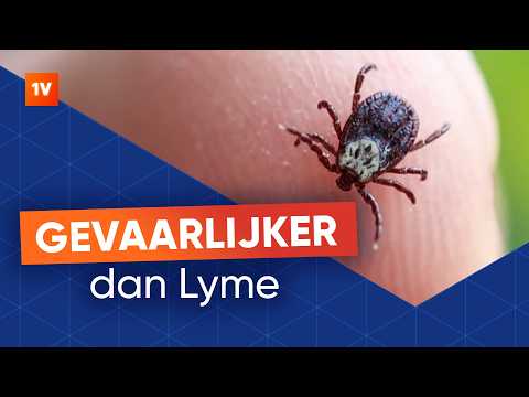 TBE: Watch out for this deadly tick virus while on vacation